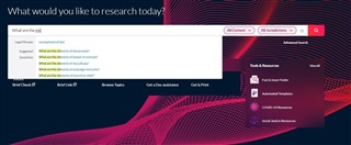example of a natural language search in Lexis+