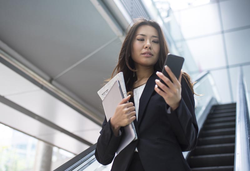 Big Law Legal Resources